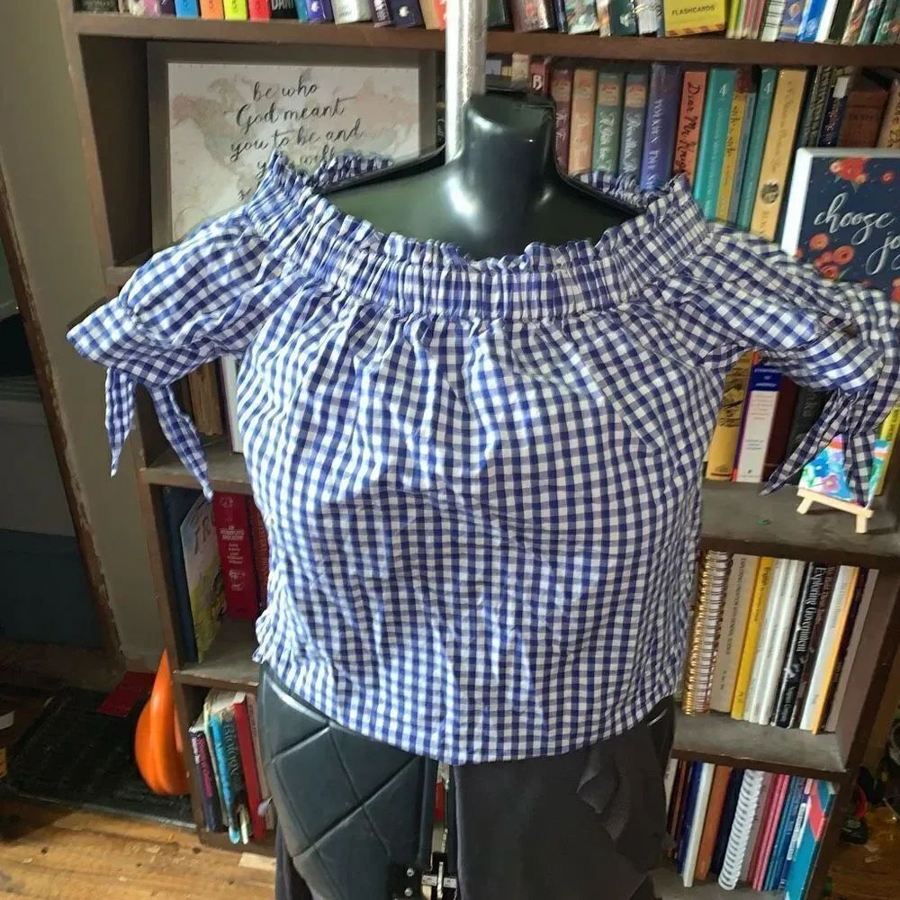 J Crew blue gingham off shoulder size 2 grandmacore blouse